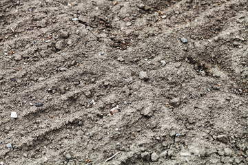 arable soil of vegetable garden