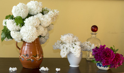 Bez i kwiaty kaliny w wazonie © Mike Mareen