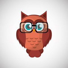Vector illustration of an Owl, graphic design