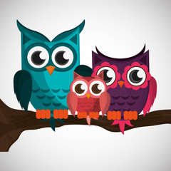 Group of owls, vector illustration, graphic design
