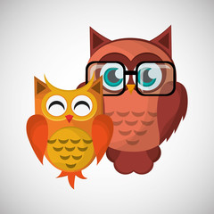 Group of owls, vector illustration, graphic design