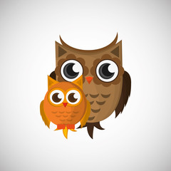 Vector illustration of an Owl, graphic design