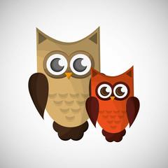 Vector illustration of an Owl, graphic design