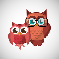 Fototapeta premium Vector illustration of an Owl, graphic design
