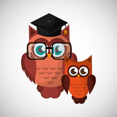 Vector illustration of an Owl, graphic design
