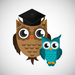 Vector illustration of an Owl, graphic design