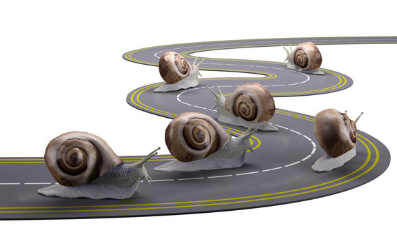 snails traveling a road slowly