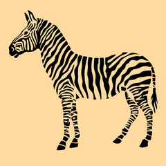 Zebra animal black silhouette 