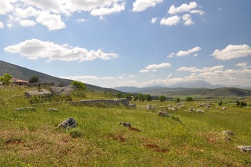 Obraz premium Plataea