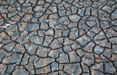 Cracked dry ground