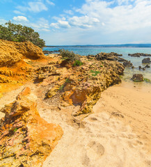golden cove in Sardinia