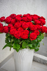 50 red roses