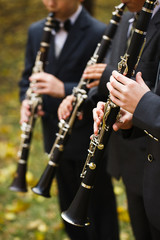 Fototapeta premium group of musicians playing the clarinet.