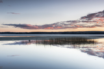 Sunset in springtime