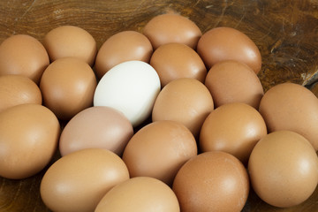 Group of identical chicken eggs except one