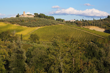 Fototapeta na wymiar Idyllic landscape of Tuscany