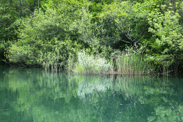 Beautiful Cetina river, Croatia