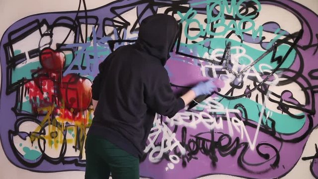 Fast motion video shot of a young girl painting graffiti fox on the wall
