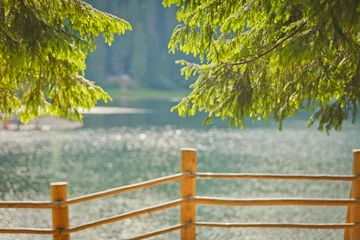 Zelfklevend Fotobehang Blur background landscape with a lake and a pine branch in sunny © sasharec