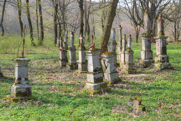 Old abandoned cemetery in Forest
