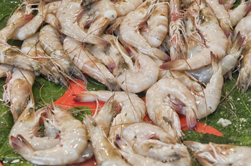 Fresh shrimp and seafood arrangement displayed on the market