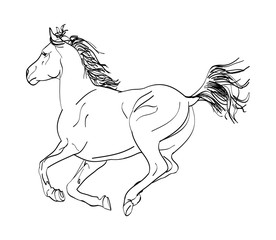 The gallop of the horse (outline)