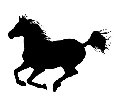 The gallop of the horse (silhouette)