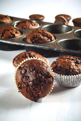 Chocolate chip cookie muffin in the old vintage form.