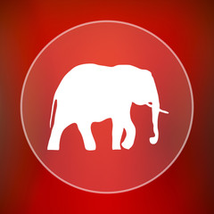 Elephant icon