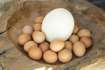 Tuinposter Group of identical chicken eggs except an ostrich egg © lobro