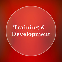 Training and development icon