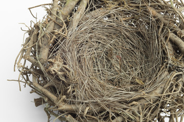 Detail of bird nest with white background