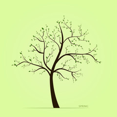 Vector spring illustration with green leaves on tree on light background