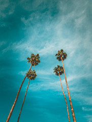 PALMS SKY CALIFORNIA