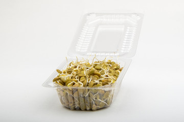 Lentil in a plastic box