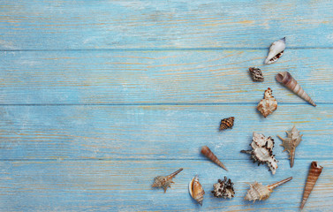 Seashells on wooden background