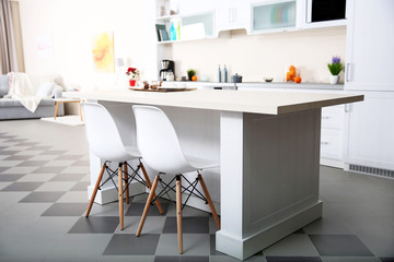 New modern kitchen interior