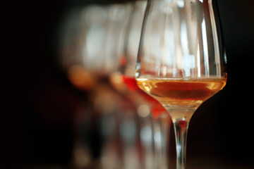 Many glasses of different wine in a row, close up