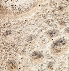 Sand surface after the rain