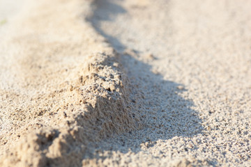 Sand surface with the relief formed by water currents