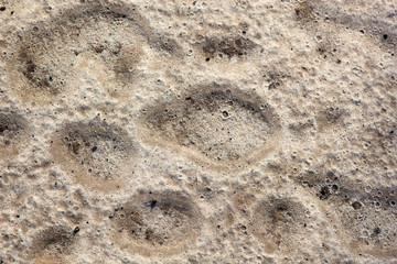 Fototapeta premium Sand surface after the rain