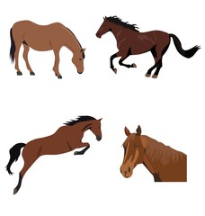 Set of brown horses, isolated vector