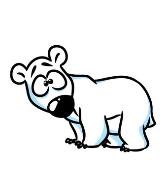Polar Bear wonder cartoon illustration isolated image