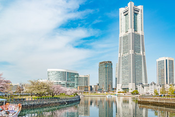 Obraz premium Spring in Yokohama, Japan at Canal Park.