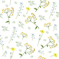 Floral seamless pattern.Colorful floral pattern with wild flowers and herbs on a white background, drawing watercolor.Forget-me-not,tansy and buttercup flowers.