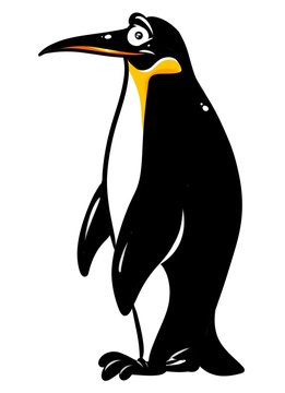 Penguin cartoon illustration  isolated image animal character

