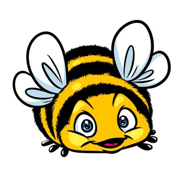 Bee insect character cartoon illustration  image animal character
