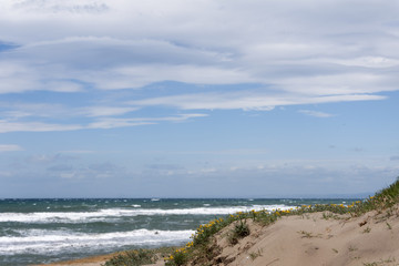 Hermosa playa de dunas de Arenas en la costa de Marbella en la costa del sol de Andalucía
