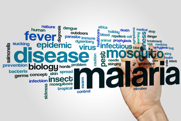 Malaria word cloud