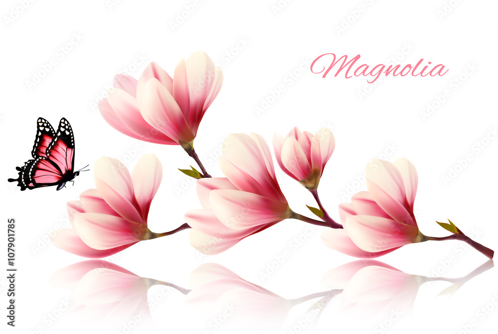 Poster beautiful magnolia branch with a butterfly. vector.